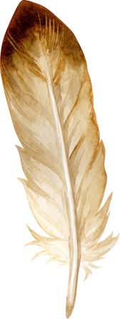 Watercolor  Brown Feather