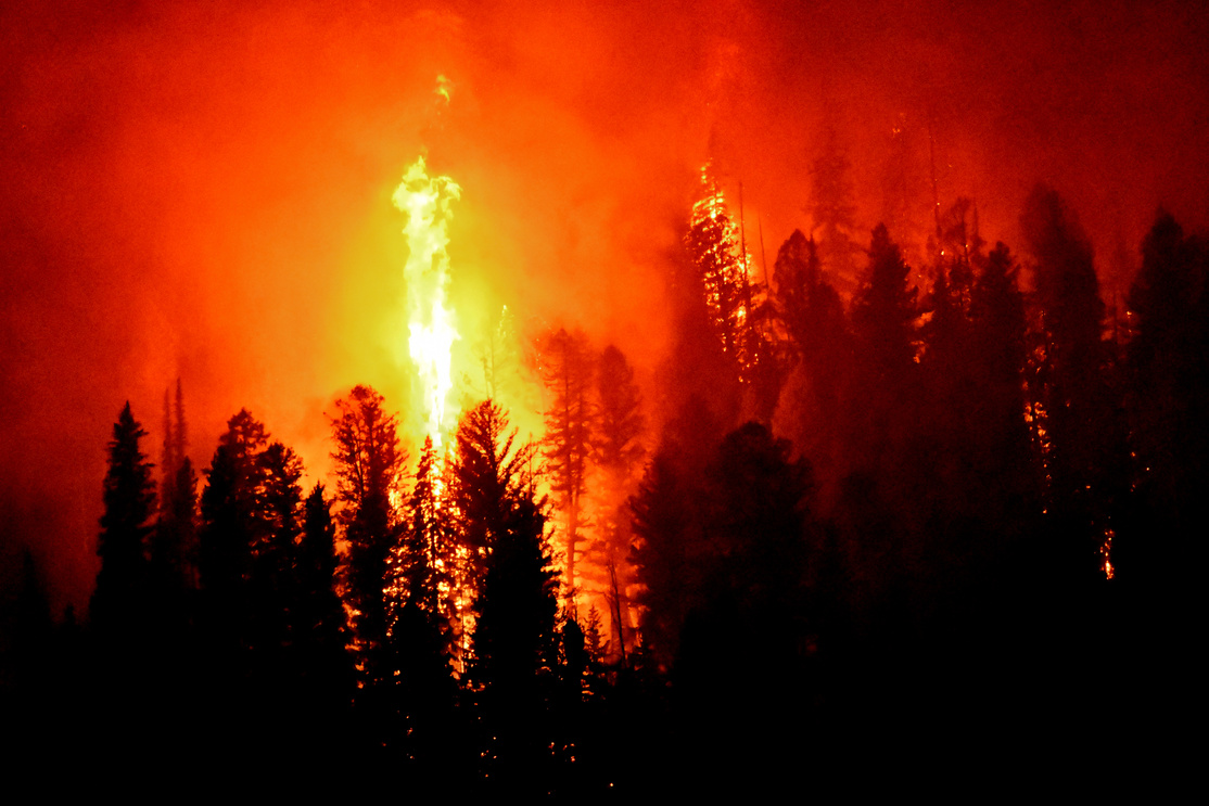 Wild Fire